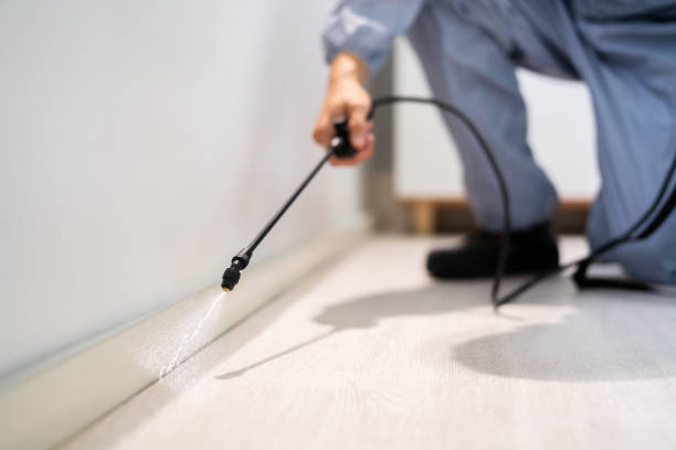 Licensed Fumigation Services service in Henderson, LA - Nex Pest Control