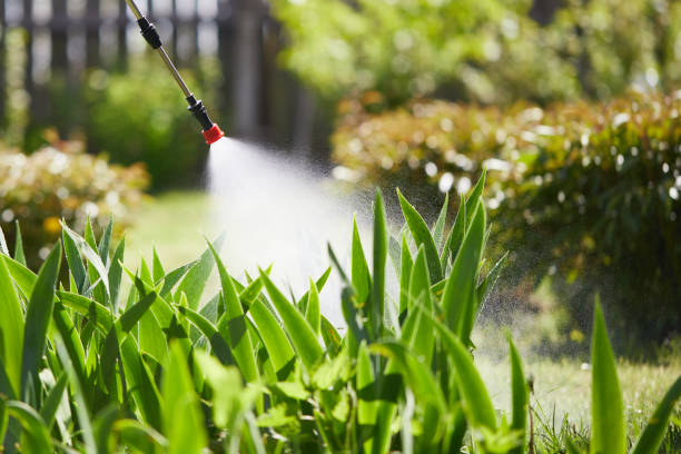 24/7 Emergency Fumigation Services experts in Henderson, LA