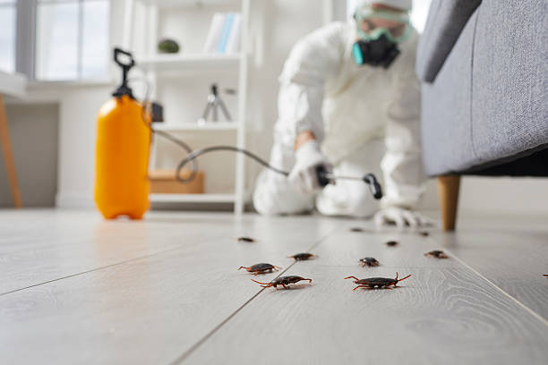 Trusted Cockroach Control service in Henderson, LA - Nex Pest Control
