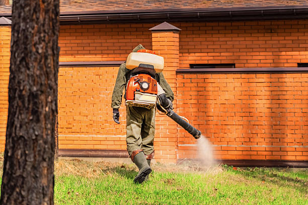 Trusted Mosquito Control service in Henderson, LA - Nex Pest Control